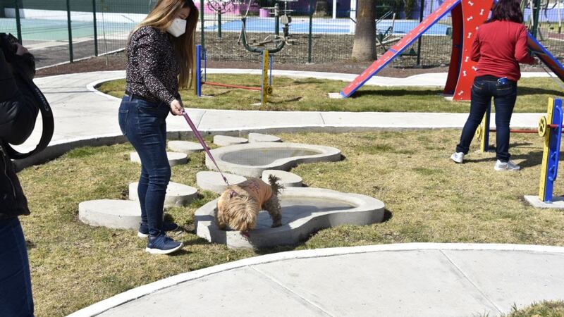 Mujer paseando a su perro en un parque