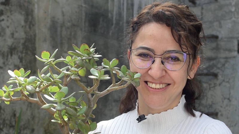 Mujer sonriente sosteniendo una planta suculenta