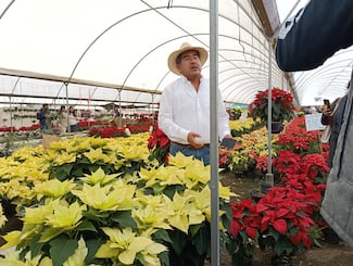 Vivero “Flor Natura” destaca en Puebla por su producción de Nochebuena y tradición florícola