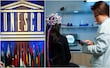 Privacidad mental: el nuevo reto ético de la Unesco para mejorar la neurotecnología