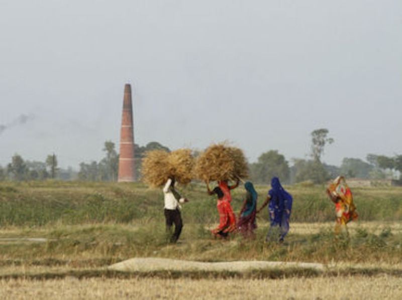 Mujeres campesinas cargando fardos de paja en un campo