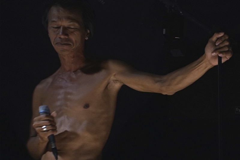Cantante en concierto