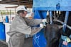 La Federación crea consejo técnico científico para erradicar el gusano barrenador 