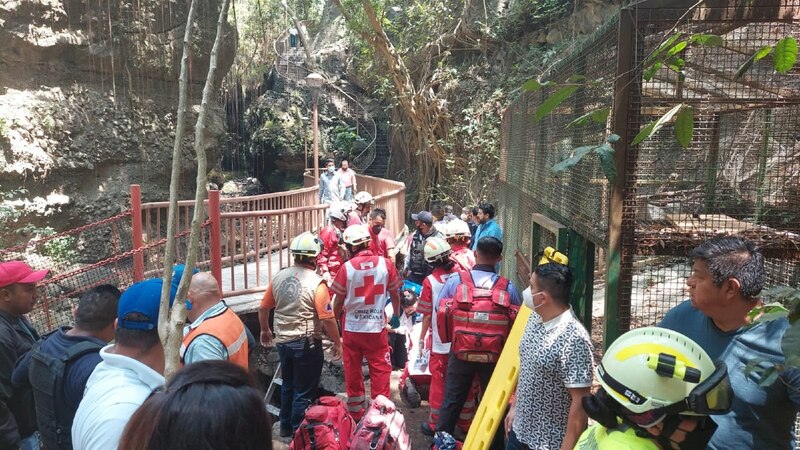 Rescate de un oso en un zoológico de México