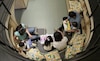 ¿Puedes aprender jugando? UNIVERSUM lo hace posible