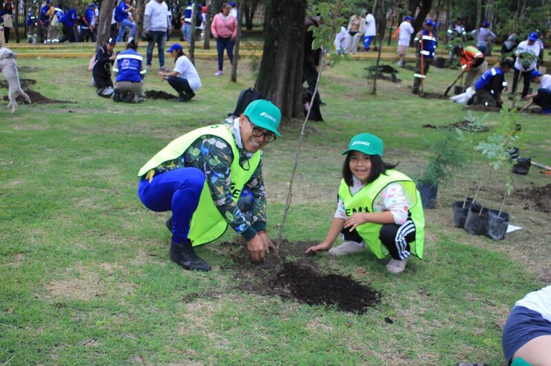 Voluntarios plantando árboles en un parque