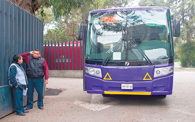 Autobús púrpura