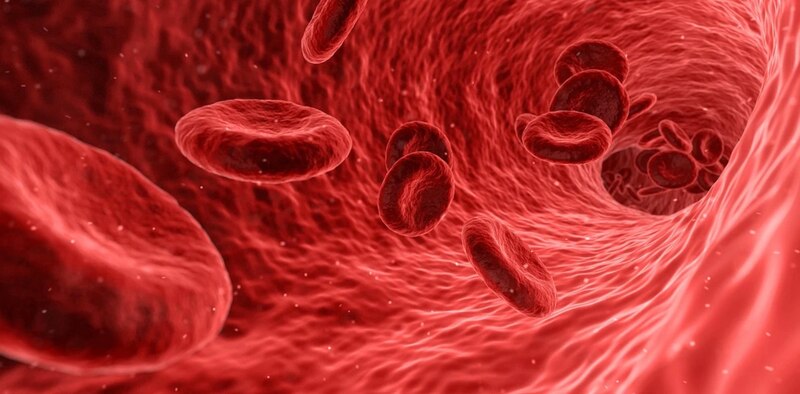 Imagen de glóbulos rojos en 3D