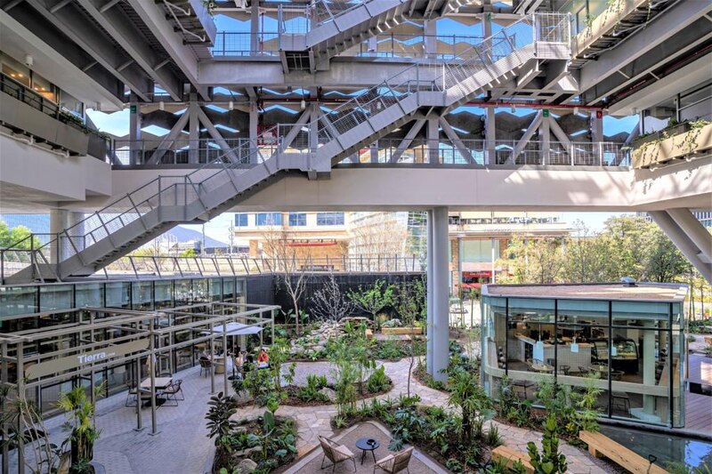 Un hermoso jardín interior en un edificio moderno