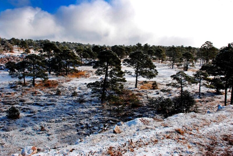 Paisaje nevado en el norte de México
