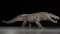 Joaquinraptor, un dinosaurio depredador que dominó el Cretácico tardío en Argentina