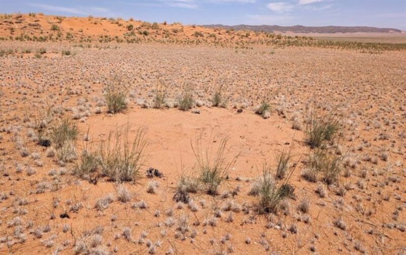 Un claro en el desierto