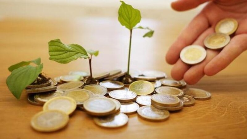 Monedas y plantas