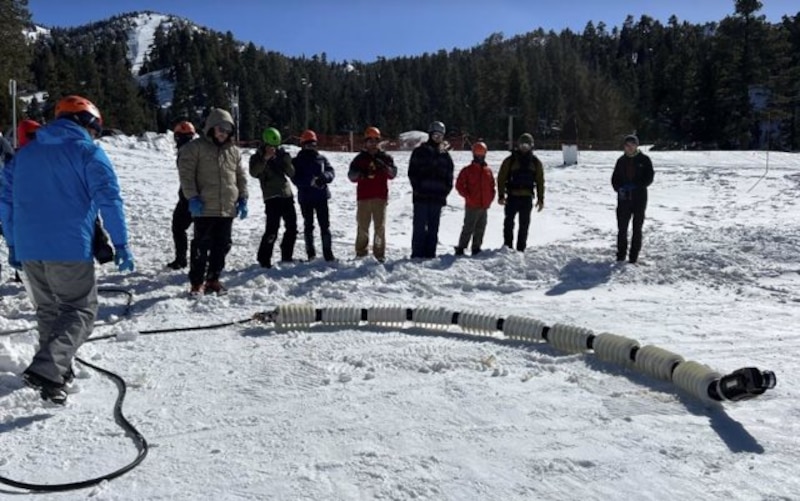 ¡Esquiadores en la nieve!