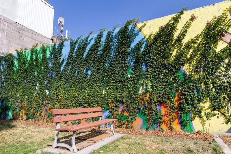 Un banco en un parque con un mural de fondo