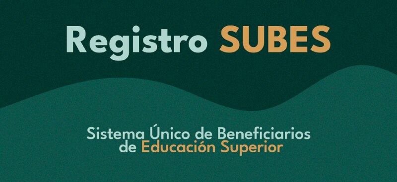 Registro SUBES