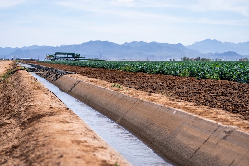 Sistema de riego en cultivo agrícola durante época de sequía