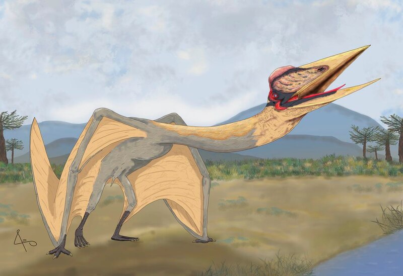 Quetzalcoatlus, el dinosaurio volador más grande de todos los tiempos