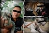 De leones a tigres y monos titís: TikTok se vuelve bazar de fauna silvestre en México... y hasta carne exótica venden
