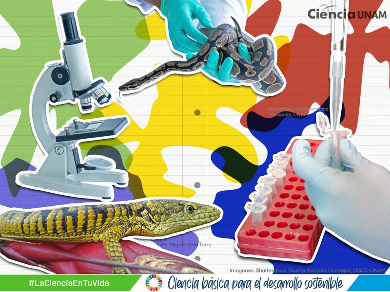 Ciencia básica para el desarrollo sostenible