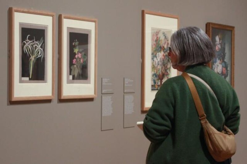 Mujer mirando un cuadro en un museo