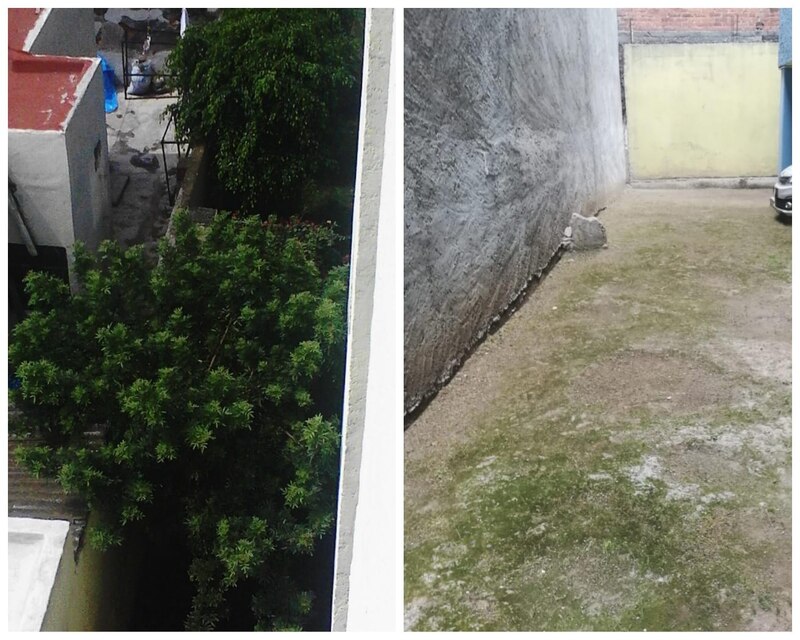 Dos patios, uno con plantas y otro sin plantas