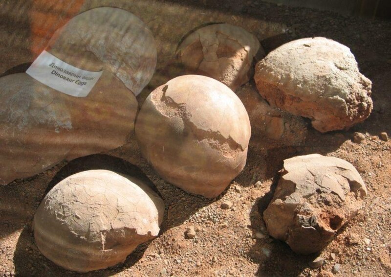 Nidos de dinosaurios
