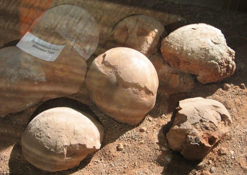 Nidos de dinosaurios