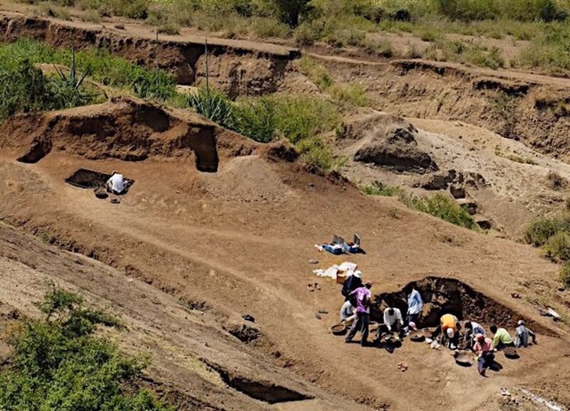 Un equipo de arqueólogos trabaja en un yacimiento en busca de fósiles