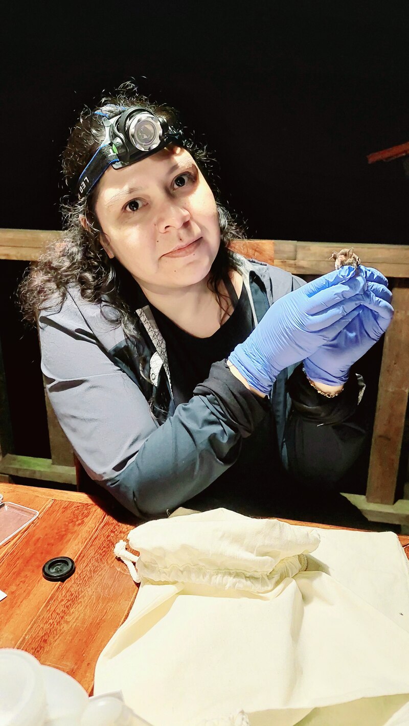 Científica sostiene un murciélago en sus manos