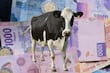 Cuánto cuesta una vaca: ¿Qué es la cabeza de ganado y cuál es su precio?