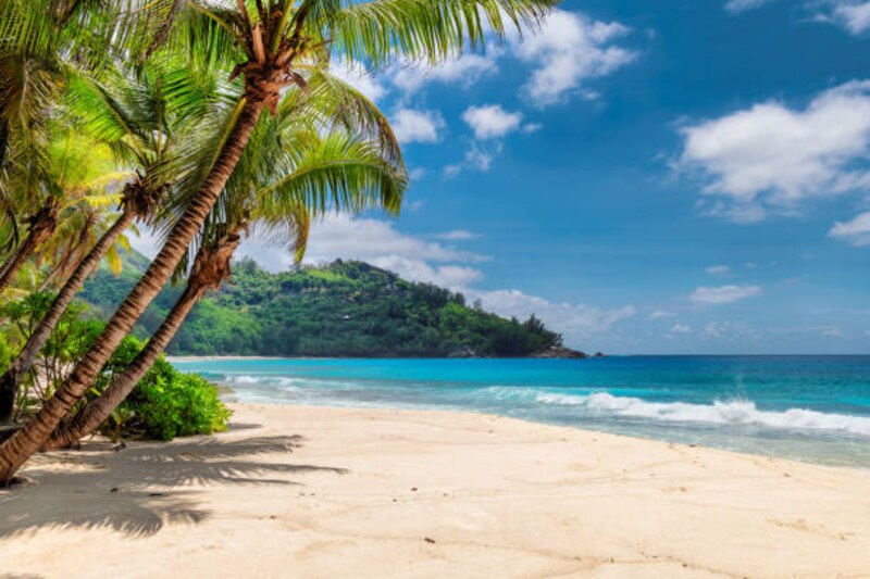 Hermosa playa tropical con palmeras y mar azul cristalino