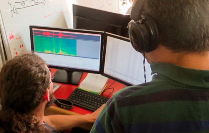 Dos hombres trabajan en una computadora