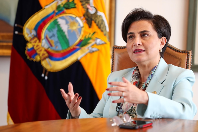 La presidenta de Bolivia, Jeanine Áñez, da un discurso.