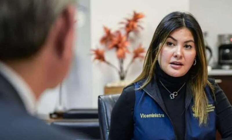 La viceministra de Energía, Belizza Ruiz, durante una reunión de trabajo.