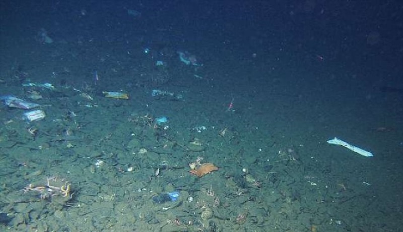 Basura en el fondo marino