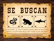 ¡Se buscan! Retos y oportunidades para proteger biodiversidad desaparecida  
