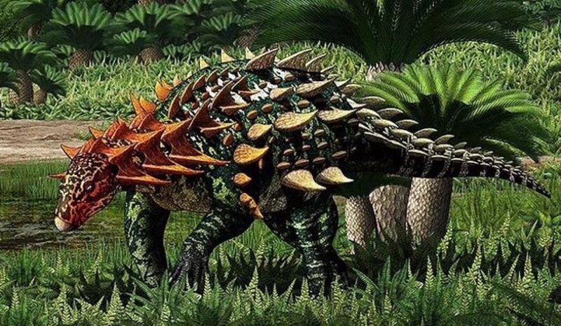 El dinosaurio Anquilosaurio