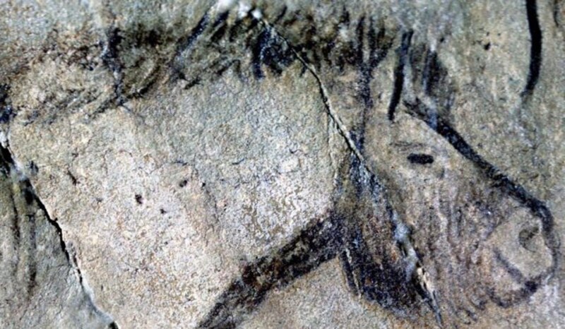 Caballo prehistórico pintado en la cueva de Altamira