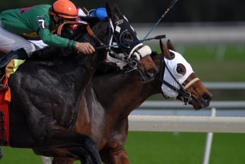 Carreras de caballos