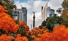 ¿Qué actividades hay en CDMX este fin de semana? Guías gratis para este 24, 25 y 26 de octubre de 2025
