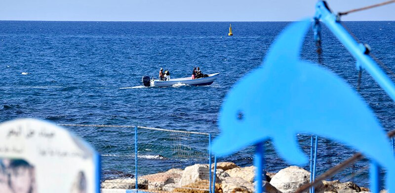 Paseo en barco por la costa con delfines