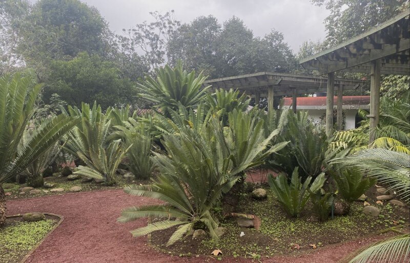 Jardín botánico