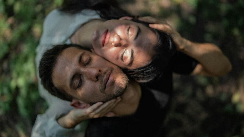 Pareja abrazada en el bosque