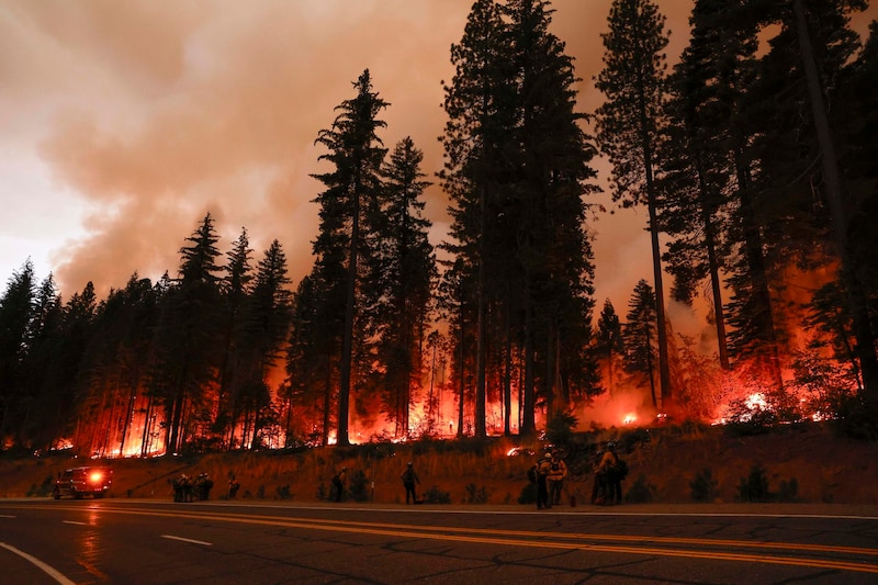 Incendios forestales en California