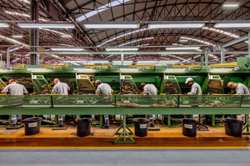 Trabajadores en una fábrica de madera