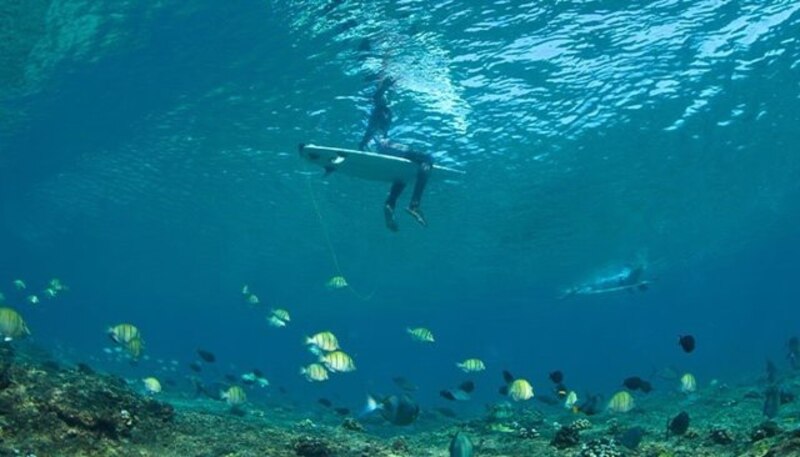 Surfista sobre una tabla de surf bajo el agua con peces de colores