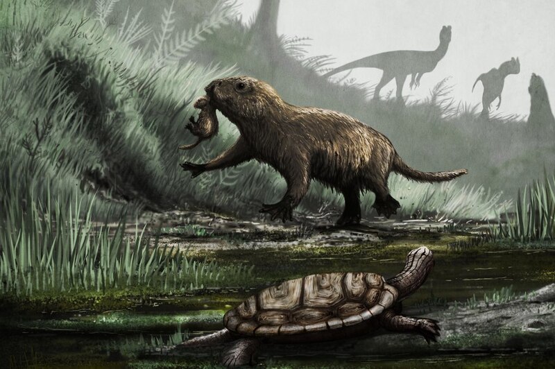 Un reptil prehistórico parecido a un roedor