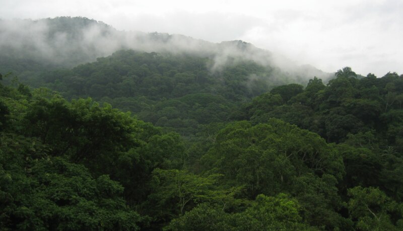 La belleza de la naturaleza