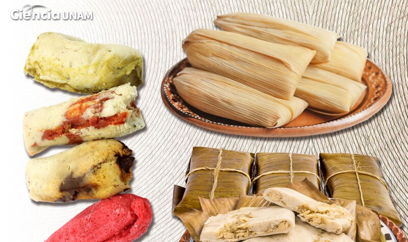 Tipos de tamales mexicanos